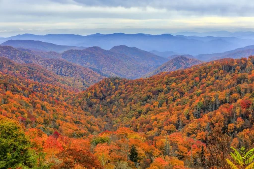 Blog - Outdoor Fall Activities