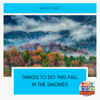 Things to Do in Fall: Hidden Gems and Local Favorites